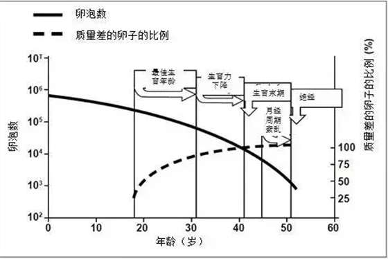 2017年8月调查：美国试管婴儿成功率2020年或突破80%以上